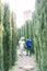 View from behind the bride in a white dress and summer hat with a bouquet of flowers and the groom in a blue suit walking among