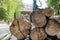 View from behind of a pile of large logs loaded on the loading area of a trailer for removal