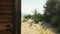 View from behind wooden beach house to sandy path leading to beach, small bushes and shrubs on side, calm sea in distance, Anakao