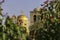 View of the bell tower and golden domes of the Christian church through blurred plants