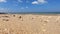 View from below of beautiful white sand Phra Ae long beach of Koh Lanta island, Krabi, Thailand. Small waves splattering and splas