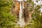 View from below forest of angel falls in venezuela in canaima park, giving a sense of discovery and awe