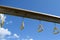 View From Below of Yellow Monkey Bar Rings Hanging From Wood Beam on Playground