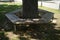 View of a bench around a tree in the park