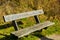 View of a bench in a monument of nature Brunssummerheide