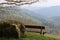 View from bench in the mountain of Snowdonia