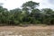 View of Beni river and rainforest of Madidi national park in the upper Amazon river basin in Bolivia, South America