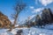 View of Betab Valley in winter season, near Pahalgam, Kashmir, India