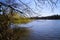 View beyond fallen yellow willow tree on lake in spring time, Germany, Viersen, Hariksee