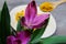 View beyond purple curcuma plant flower on spoon with curcuma seasoning powder