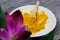 View beyond purple curcuma plant flower on spoon with curcuma seasoning powder