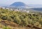 View of the biblical Mount Tabor, Lower Galilee, Israel