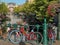 View of bicycles and beautiful plants near canal on city street