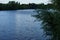 View of the Biesdorfer Baggersee lake with magnificent vegetation in August. Berlin, Germany