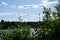 View of the Biesdorfer Baggersee lake with magnificent vegetation in August. Berlin, Germany