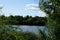 View of the Biesdorfer Baggersee lake with magnificent vegetation in August. Berlin, Germany