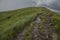 A view of Bieszczady Mountains, Poland, Europe - a path and black clouds.