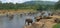 View on big indian elephants in river exotic asia park in Sri L