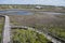 A view of Big Lagoon State Park overlooking the boardwalk in Pensaocla, Florida