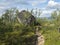 View on big rock stone next footpath of Kungsleden hiking trail with birch trees and lake in background. Summer day