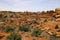 The view from Big Spring Canyon Overlook