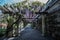 View from Biltmore Estate, Wisteria Pergola