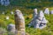 View of bizarre stones in the valley of ghosts. Autumn colors in the Crimean mountains.