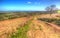 View from Black Down the highest hill in the Mendip Hills Somerset in colourful HDR