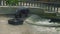 View of black hippopotamus in pool in zoo