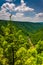 View of Blackwater Canyon from Pendleton Point, at Blackwater Fa