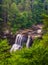 View of Blackwater Falls from the Gentle Trail, at Blackwater Fa