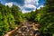 View of the Blackwater River from a bridge at Blackwater Falls S