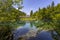 View of Blausee The Blue lake in Bernese Oberland, famous tourist destination in Switzerland