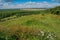 View on the Bledowska Desert (Poland)