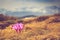 View of blooming crocuses and mountains on background.