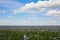 View of blooming flax field on summer day