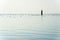 View of blue lake with blue sky and many ducks in the background and a seagul sitting on a lone dock pylon