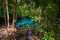 View of a blue lake in the thick jungles