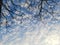 View of blue sky with beautiful crowded cloud, Thailand