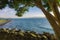 View of the blue water of the Sea of Galilee, the shoreline, through a large leafy pine tree, with large boulders in the foregroun