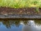 View of blueberry plantation, rainy autumn day, many clouds, wet road with sky glare