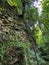 View of bluff in forest in Janesville, Wisconsin