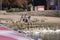 View from boat of man sat on riverside surrounded by birds