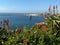 View of boat sailing in Newport Harbor, California.