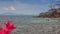 view of boat in sea against hill with pink flower on foreground