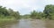 View from boat of tropical green forest with river