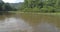 View from boat of tropical green forest with river