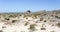 A view of Bogenfels arch at Luderitz