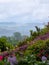 View of Bolfracks Garden on the Bolfracks Estate near Aberfeldy, in Highlands, Scotland UK. Rolling hills of the Tay Valley in the