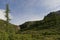 View of boreal coniferous forest